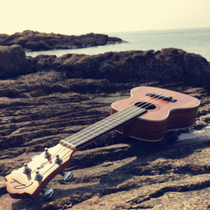 Ranch Tenor Ukulele 26 inch Kit