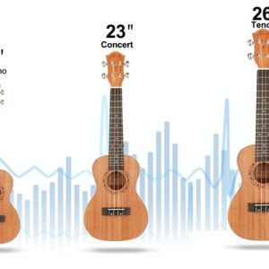 Ranch Soprano Ukulele Kit for Beginners