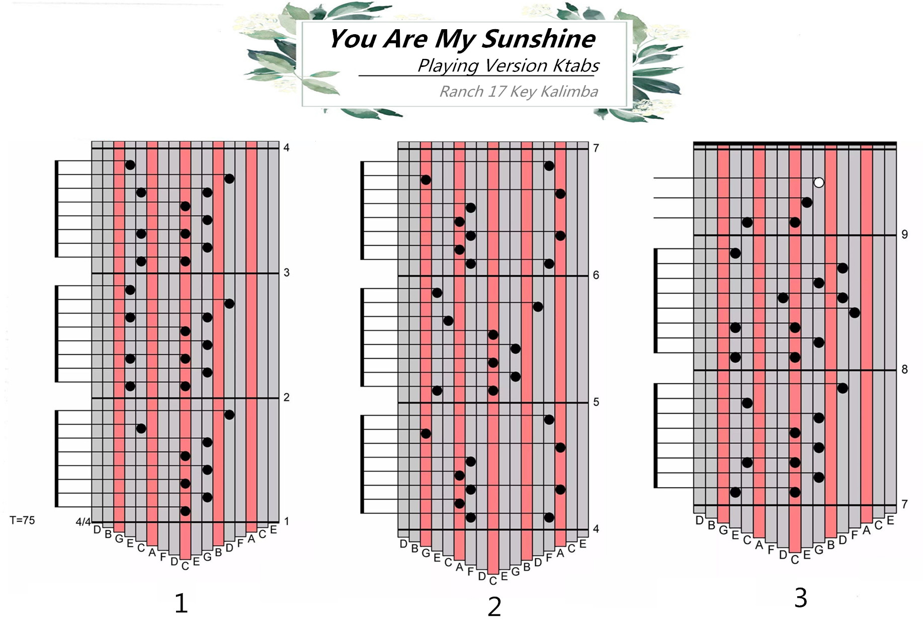 Ranch Beginners 17 key Kalimba Lesson 4 – Kiss the Rain | Guitar