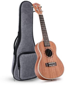 Ranch Left Handed Concert Ukulele with Padded Gig Bag