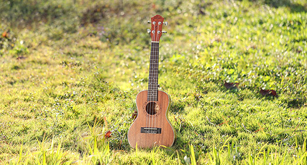 Best Sale - Concert Ukulele for Adults, Kids