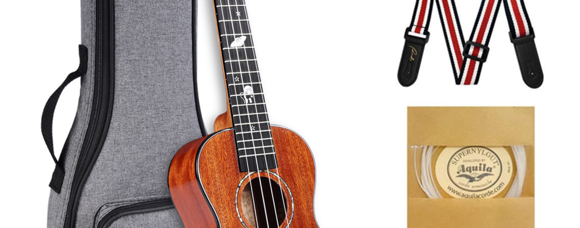 Glossy Solid Concert Ukulele