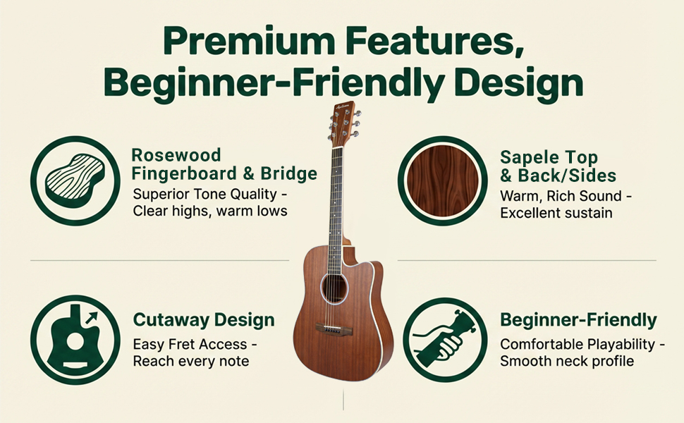 Audivara 41" dreadnought guitar features Sapele body and Rosewood fingerboard