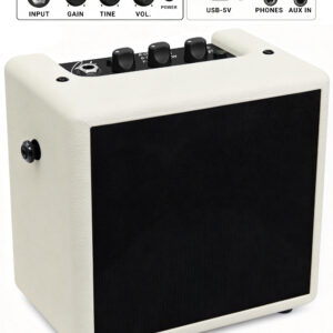 Ranch portable electric guitar amplifier showing control knobs, OTG port, and headphone jack