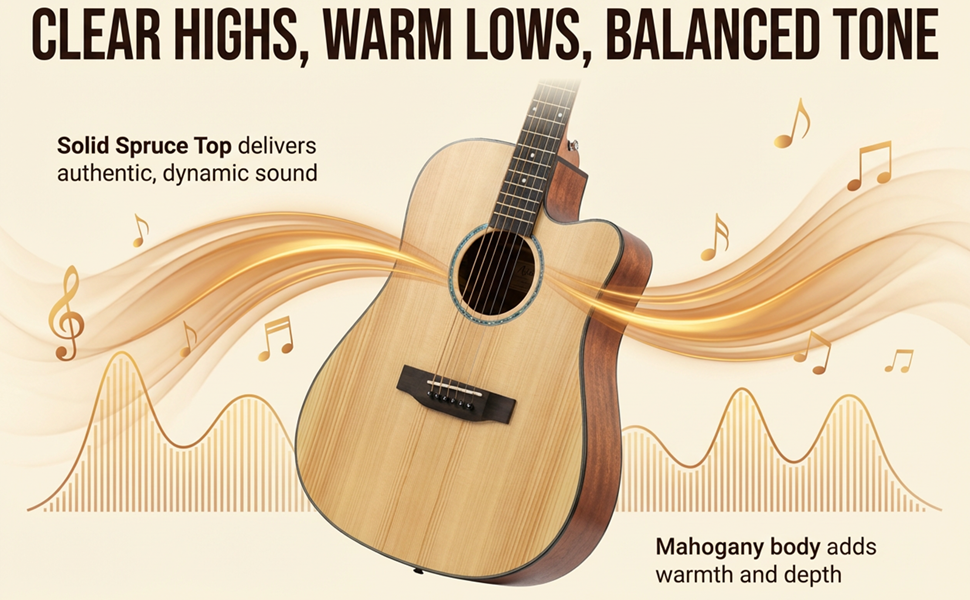 Acoustic guitar sound profile diagram highlighting clear highs, warm lows, and balanced tone